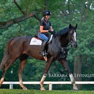 Meet your Posher, Donna